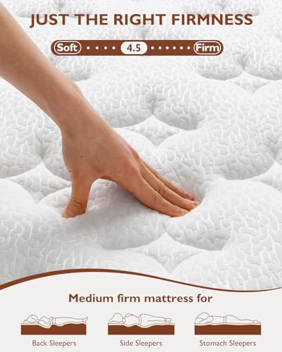 BedStory Firm Queen Mattress 12 Inch - Hybrid Mattress for Extra Back and Lumbar Support - 365 Nights Trial & 10 Years Warranty - Upgrade Pocket Springs Bed Mattress in a Box with Cooling Gel Comfort