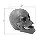 Stanbroil 9-Inch Imitated Human Skull Gas Log for Indoor or Outdoor Fireplaces, Fire Pits Halloween Decor, 1-Pack - Patent Pending