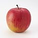 Fuji Apple Tree - Semi-Dwarf - Healthy Established - 1 Gallon Trade Pot - 1 each by Growers Solution