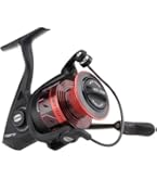 PENN Fierce III FRCIII2500 フィッシングリール 4134IQziInL.jpg_BO30,255,255,
