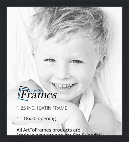 Photo Albums, Frames & Accessories - ArtToFrames 18x20 inch Satin Black Picture Frame, 2WOMFRBW26079-18x20