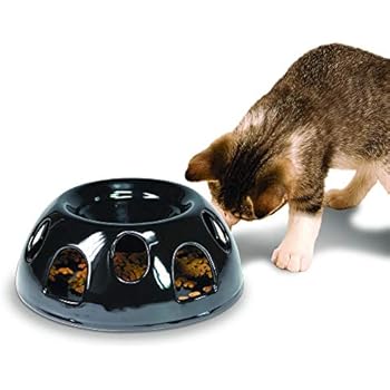 Amazon Com Pioneer Pet Smartcat Tiger Diner Cat Feeder Black