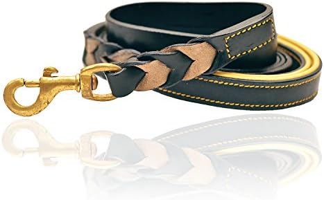 PetsUp Leather Dog Braided Leash_Strong and Durable and Soft Padded Handles (Royal Leash- Black/Yellow, Large)