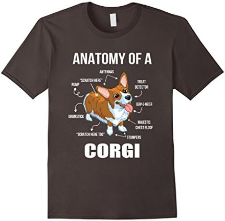 Men's Anatomy of a Corgi T-Shirt Funny Dog Shirt Large Asphalt