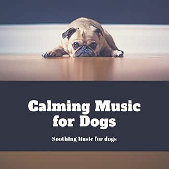dogs favourite music