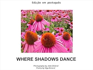 Livro Onde as sombras dançam