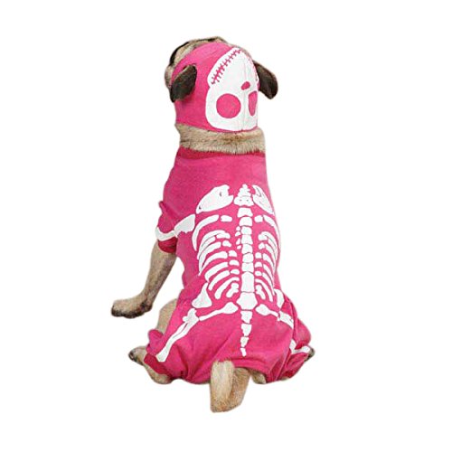 Casual Canine Glow Bones Costume for Dogs, 24" XL Pet