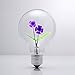 DarkSteve - Violet - Vintage Light Bulb - Edison Style G80 E26 Screw Filament Decorative Light Bulbs #1 Unique Gift