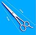 Boslion Barber Hair Cutting Scissors/Shears, Stainless Steel