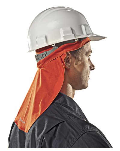 fr hard hat visor