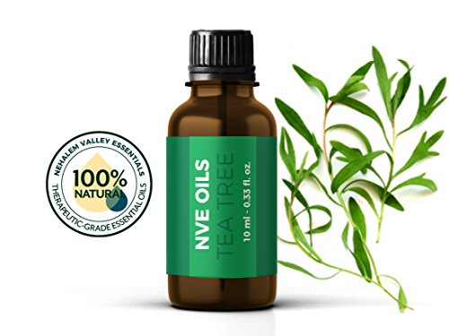 where to buy oil diffuser where to buy oil diffuser