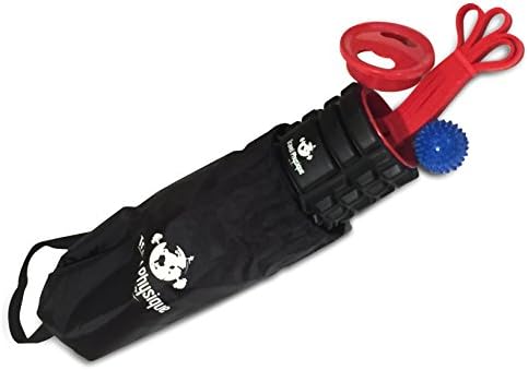 Travel Physique: Portable Muscle Mobility &amp; Recovery Kit (13 inches long) - Portable Deep Tissue Foam Roller + Reflexology Massage Ball + Durable Resistance Band. Includes FREE Travel Bag!