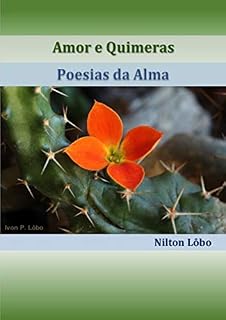 Livro Amores e Quimeras - Poesias da Alma: O Amor Perdido
