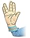 Star Trek Spock Oven Mitt - Live Long and Dont Burn Your Hands