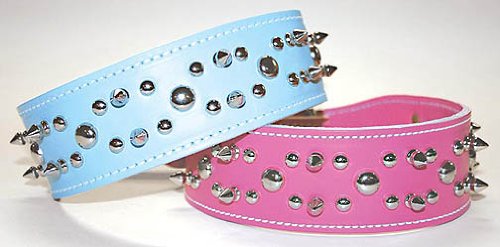 OmniPet Spiked & Studded Latigo Leather Pet Collar, 2