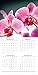 2019 Wall Calendar - Orchids Calendar, 12 x 12 Inch Monthly View, 16-Month, Blooms and Flowers Theme, Includes 180 Reminder Stickers