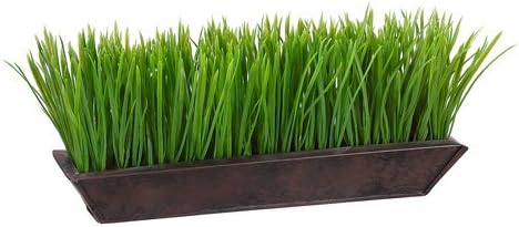 Grass in Rectangular Planter I