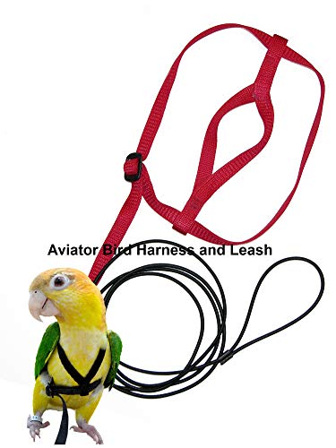 parrotlet harness and leash