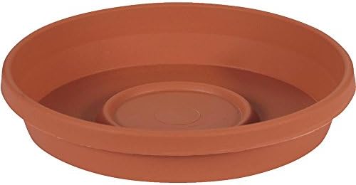 TERRATRAY TRCOT 12"