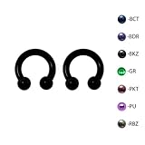 Pair of Titanium Circular Barbell w/Balls Horseshoe Earrings 12-8G