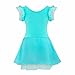 FEESHOW Kids Girls' Ruffle Flutter Sleeve Gymnastic Leotard Ballet Tutu Dress Skirt Princess Dance wear Costumes Turquoise 3-4
