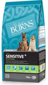 one year old dog peeing in the house