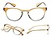 READING GLASSES 5 pack Fashion Readers for Women(One for each color, 2.50)