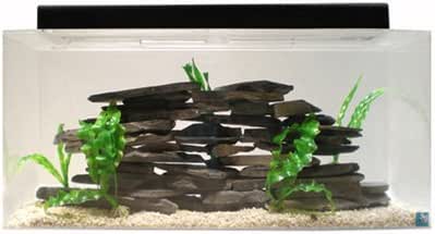 30 gallon aquarium