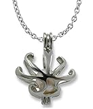 Freshwater Cultured Pearl in Oyster Set (5-7 mm) Seashell Necklace Rhodium Plated + Stainless Chain 18