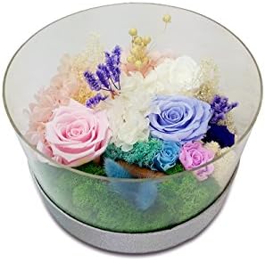 Handmade Preserved Fresh Flower ,Eernal Life Flowers for Love Ones Round 8" Design Ideal for Home Office Wall Decor,Christmas Birthday Wedding Gifts (R-Blue)