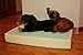 Memory Foam Dog Pet Bed Mattress Core with Gel, Medium Size L27xW35xH6 inches Made in USA