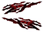 Honda CBR 1000RR 600RR 954RR 929RR 250R Skull Rip Red Decal Sticker