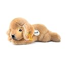 Steiff Lumpi - Cucciolo Golden Retriever Peluche 22cm Morbido E Lavabile