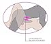 SexyToken Rechargeable 30 Speed Silicone Double-end Wireless Remote Control Vibe Adult Sex Toy Female Masturbation Vaginal and Couple Vibrator