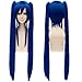 MSHUI Fairy Tail Dark Blue Double Ponytail Costume Cosplay Wig