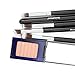 Dermatique Silver Makeup Brush Set, Beauty Blending, Face Powder, Blush Brushes Perfect for Use as Bronzer Brush, Concealer Brush, Contour Brush, Cosmetic Brush, Foundation Brush,etc.(10pcs, Silver)