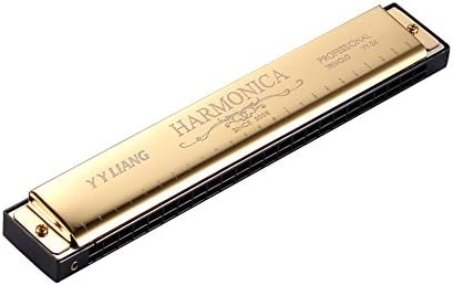 YYLIANG Children Beginner 24 Holes Double Tremolo harmonica - Polyphony harmonica -Blues harmonica- Key of C (Gold)
