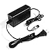 Masione 24 Volt 2A 48W Scooter Battery Charger for Razor Electric Scooter E100 E150 E200 E225S E300 E325S MX350 for Razor Mini Chopper, 3-Prong Inline US Plug