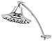 Waterpik ASD 833 AquaScape 8 Mode Showerhead with Adjustable Arm, Chrome