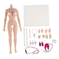 Flameer 1/6 Scale Seamless Female Figure Body Steel Skeleton for Phicen 27cm Height Normal Skin