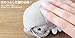 Sea Creature Giant Isopod Cute Kawaii Stuffed Plush Doll (M Size) / 13 cm by TSTADVANCE