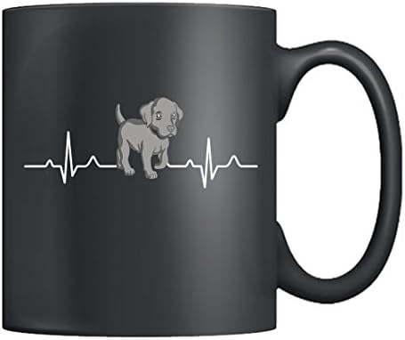 glucosamine for pets