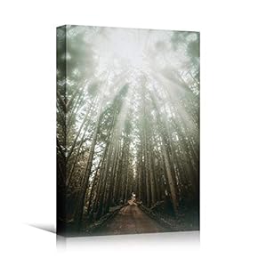 signwin Canvas Wall Art Green Forest Dramatic Forest...