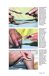 Corn Snakes: The Comprehensive Owner's Guide