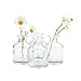 CHIVE ‘Loft’ Small Mini Flower Vases - Clear Glass Bud Vases, Set of 10 - Cute Vintage Rustic Centerpieces for Wedding, Events & Home - Premium Quality, Designed to Last