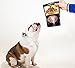 Pet Science Secret Beef & Cheddar Potato Dog Treats, 100% All Natural, Grain, Gluten & Chemical Free, No Preservatives, Antioxidants, Made in USA, 10 oz.