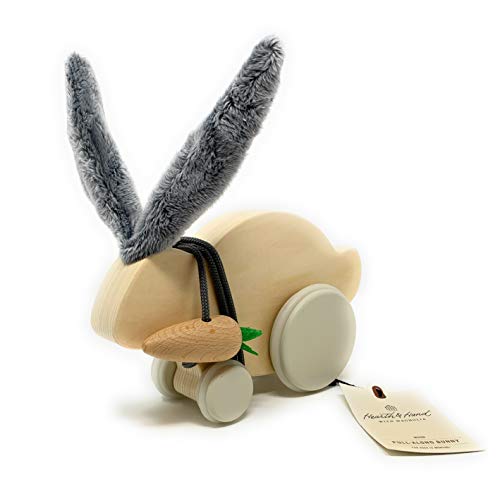 Hearth & Hand with Magnolia Bunny and Carrot Pull Along Toy
