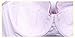Women's Lace Push Up Bra Brassiere (Underwire Plus Size 36-48 C-D)