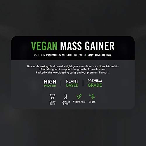 Vegan-Mass-Gainer-Kalorienreicher-Proteinreicher-Pulver-Shake-Kohlenhydratreicher-Weight-Gainer-THE-PROTEIN-WORKS-Chocolate-Silk-2kg