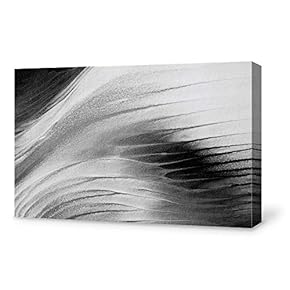 signwin Canvas Wall Art Modern Abstract Art Canvas...